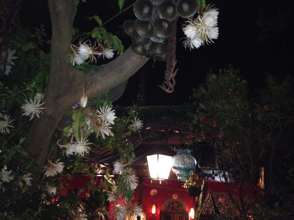 Casa De Las Flores Bed & Breakfast Tlaquepaque Exterior photo