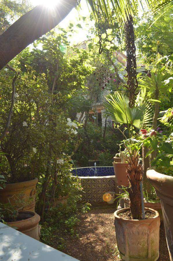 Casa De Las Flores Bed & Breakfast Tlaquepaque Exterior photo