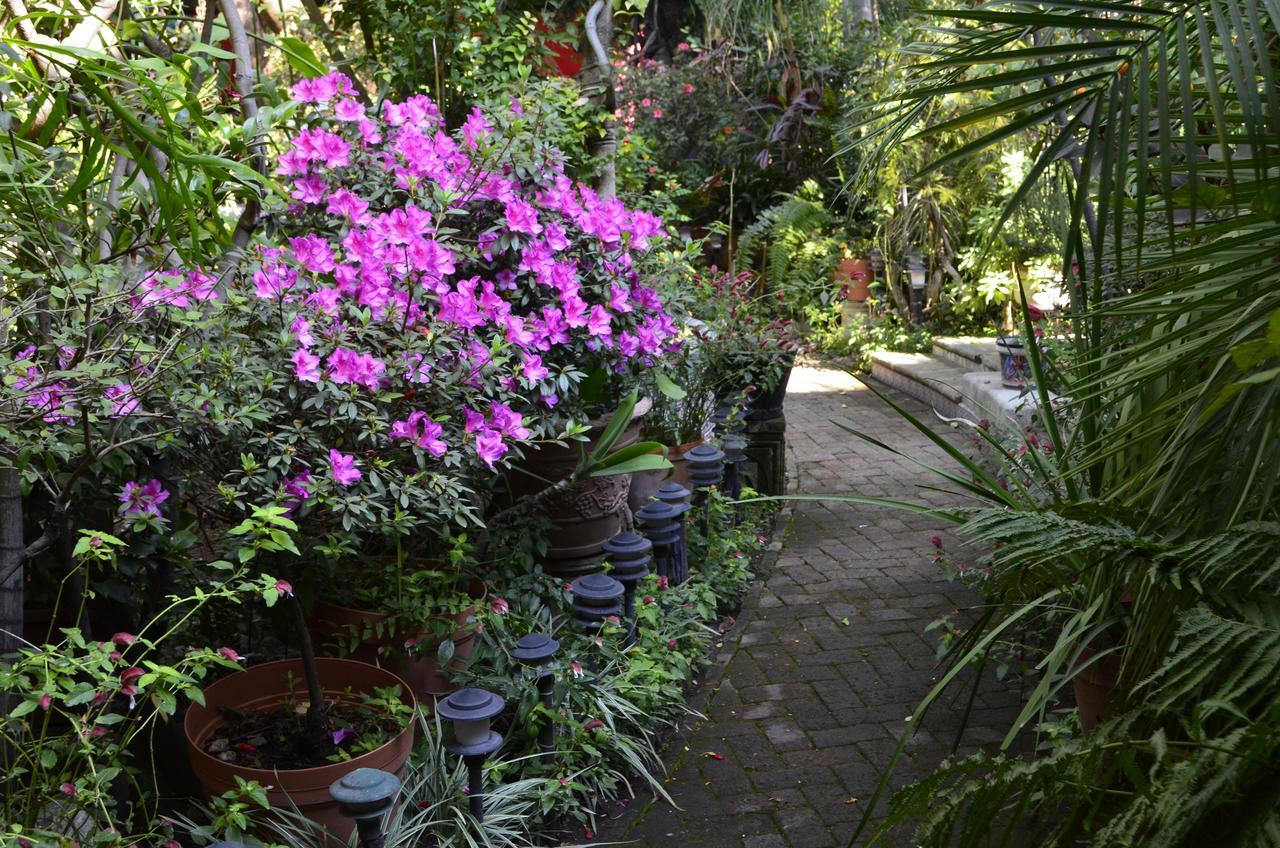 Casa De Las Flores Bed & Breakfast Tlaquepaque Exterior photo